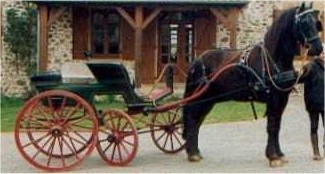 Photo de profil de fermedepetrus