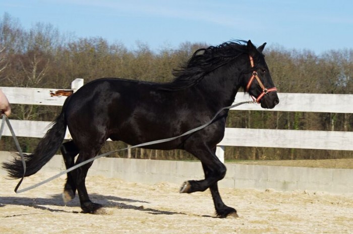 Photo de profil de fermedulorrey