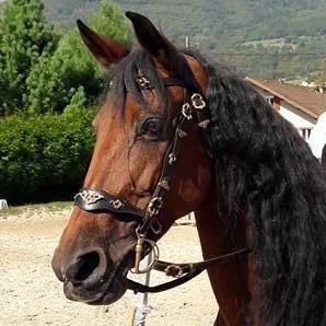 Photo de profil de ferossa