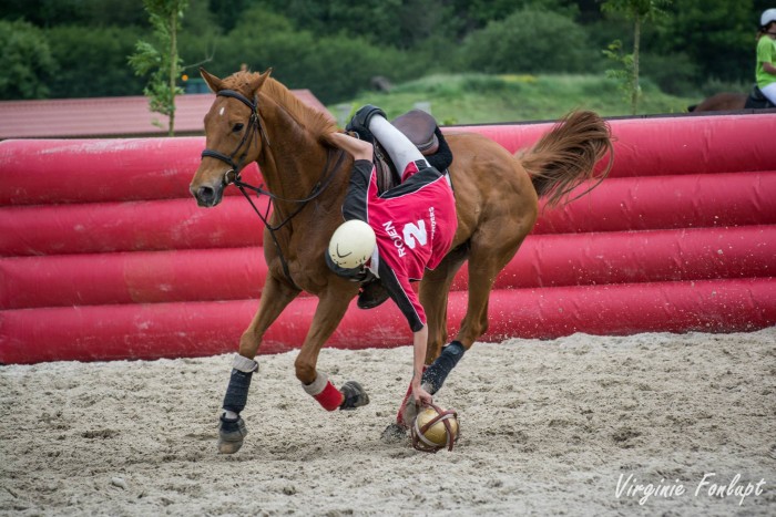 Photo de profil de flambard76