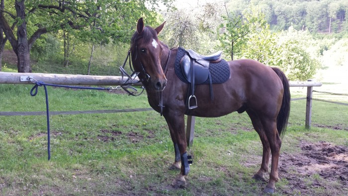 Photo de profil de flitpine