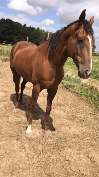 Photo de profil de flo24