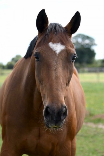 Photo de profil de florette14