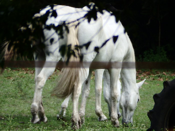 Photo de profil de fraisa