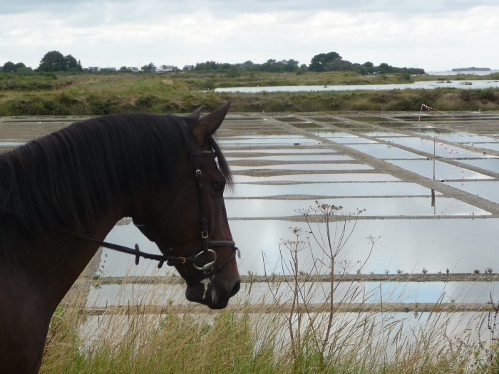 Photo de profil de fraizee