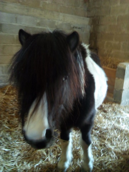 Photo de profil de france64