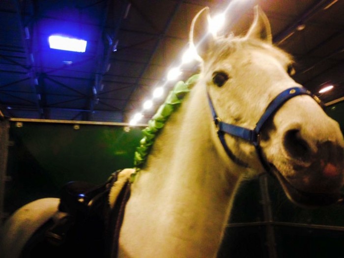 Photo de profil de frostis