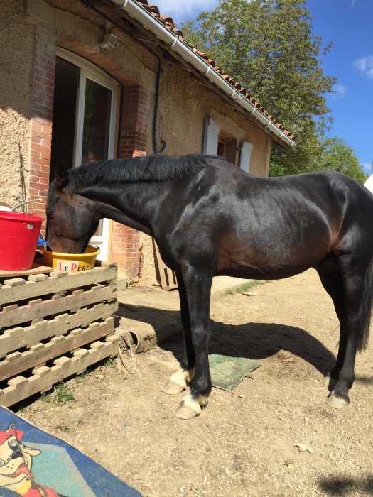 Photo de profil de gaboypirate.32