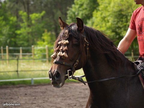 Photo de profil de gael_emperador