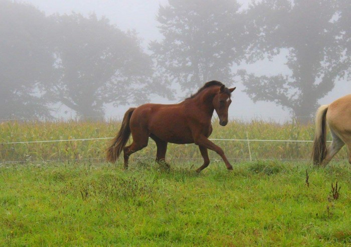 Photo de profil de gavaldapopulos