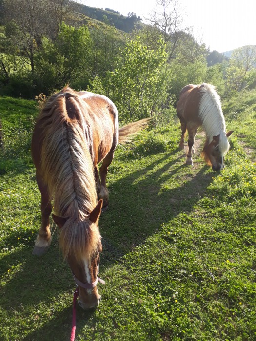 Photo de profil de gildakimi