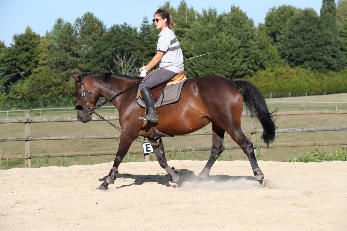 Photo de profil de gomart27