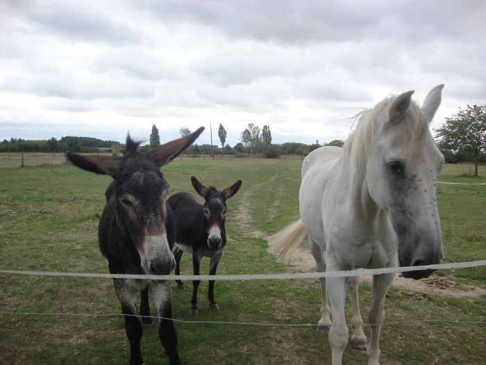 Photo de profil de gourou007