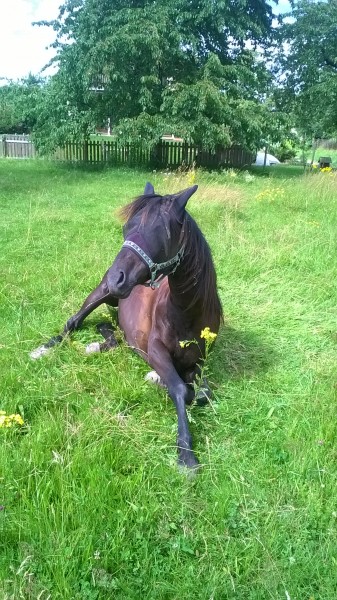 Photo de profil de granouche