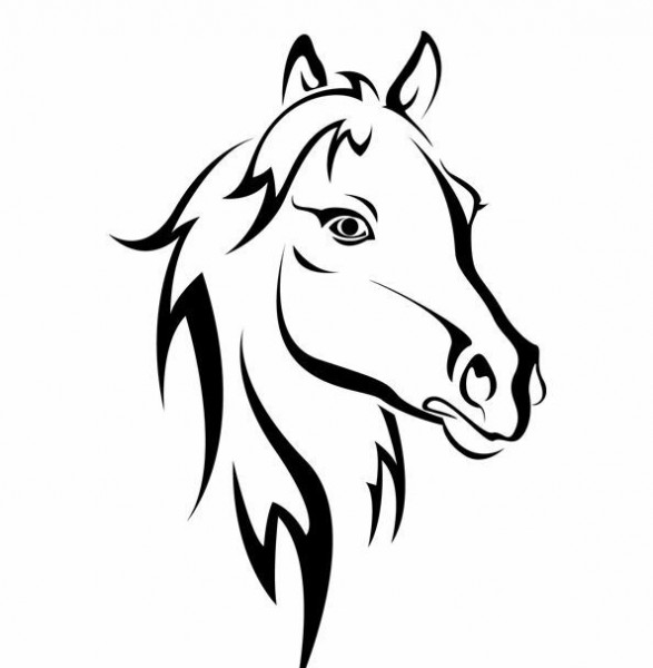 Photo de profil de guizmodo