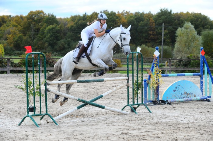 Photo de profil de gustavo