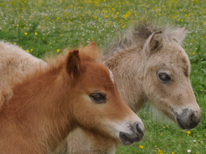 Photo de profil de hamel14