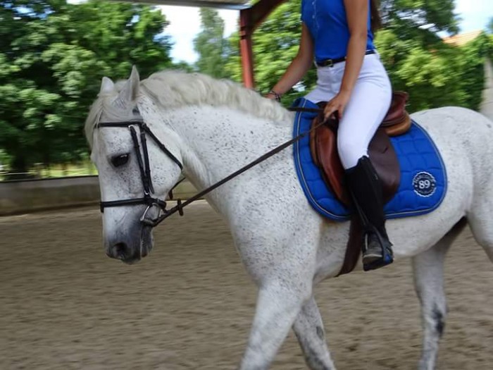 Photo de profil de hanaemxt