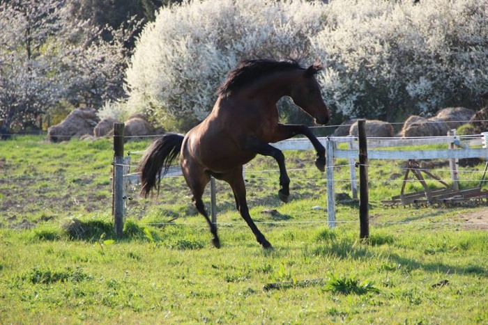 Photo de profil de harasdulion