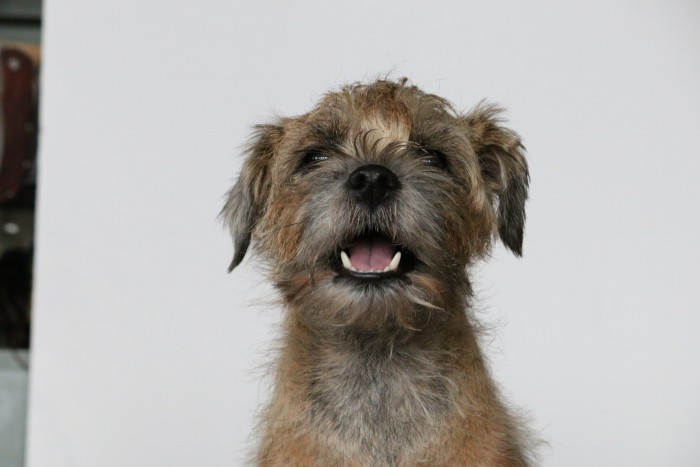 Photo de profil de harlotte_philip