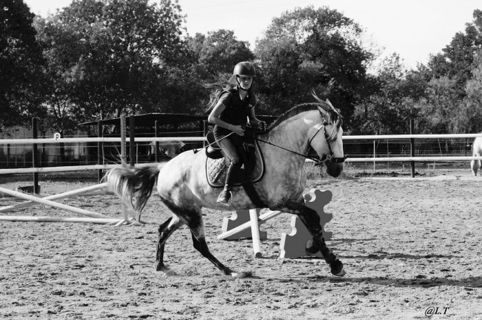 Photo de profil de helebliss