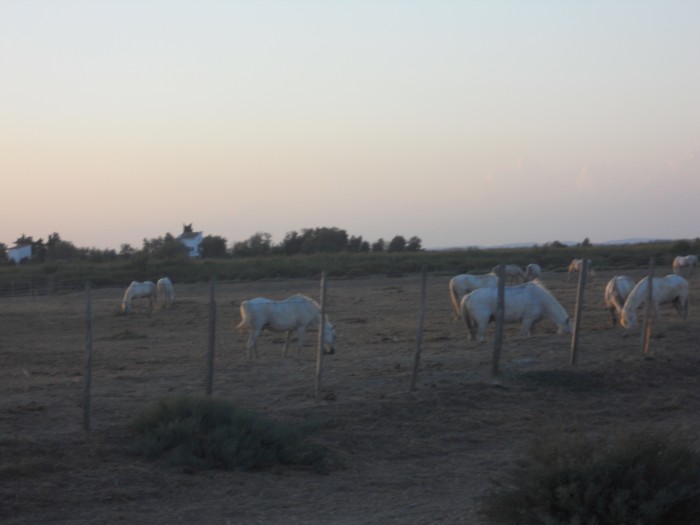 Photo de profil de heloetleponeys