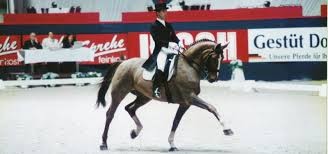 Photo de profil de henri78