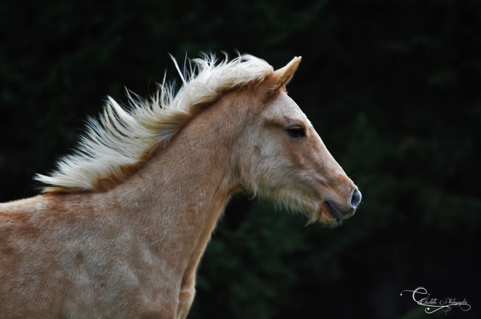 Photo de profil de hexanegretaajin