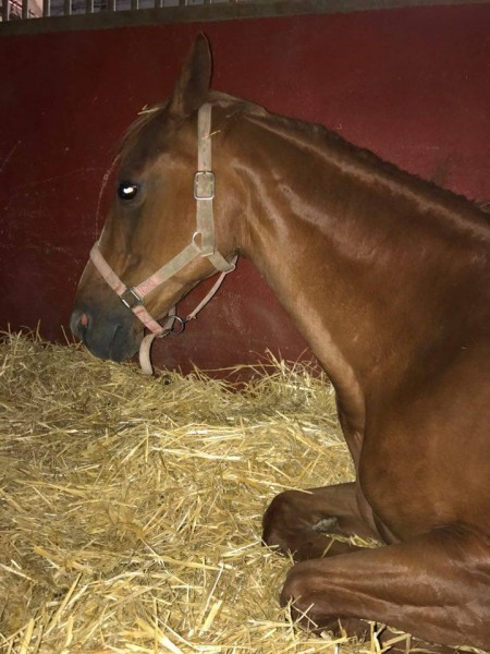 Photo de profil de hinvictus