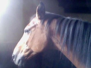 Photo de profil de honey24