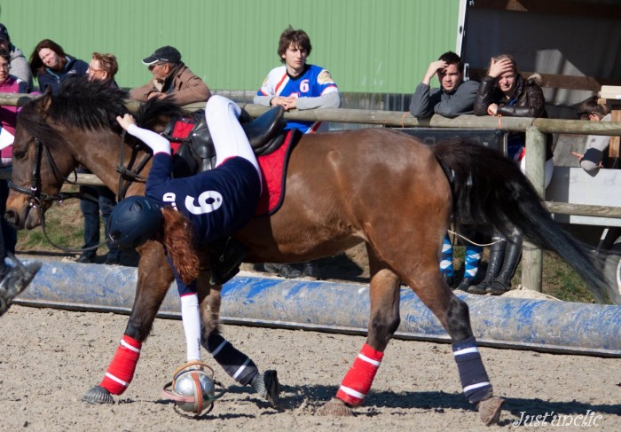 Photo de profil de horseball62