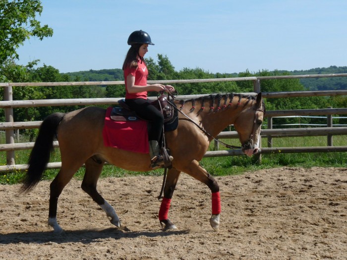 Photo de profil de horsezz