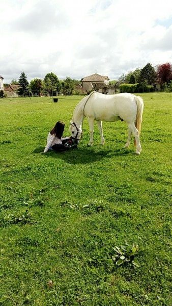 Photo de profil de houhou