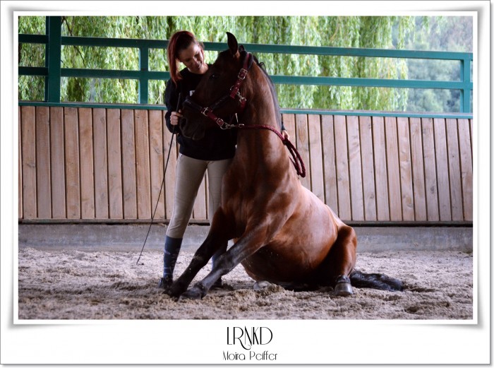 Photo de profil de ib_academy