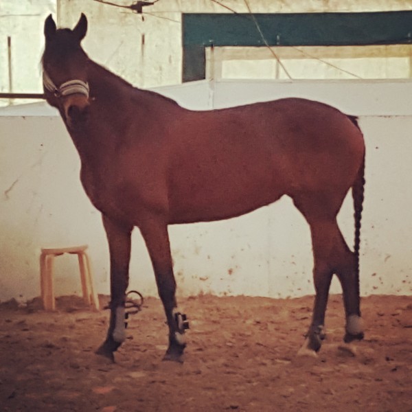 Photo de profil de ichette