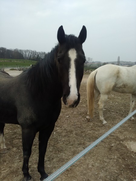 Photo de profil de iili