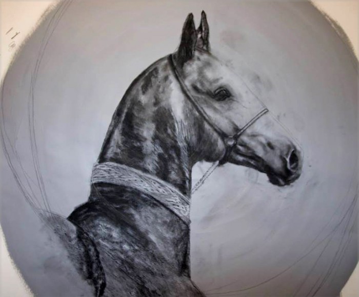 Photo de profil de illico73