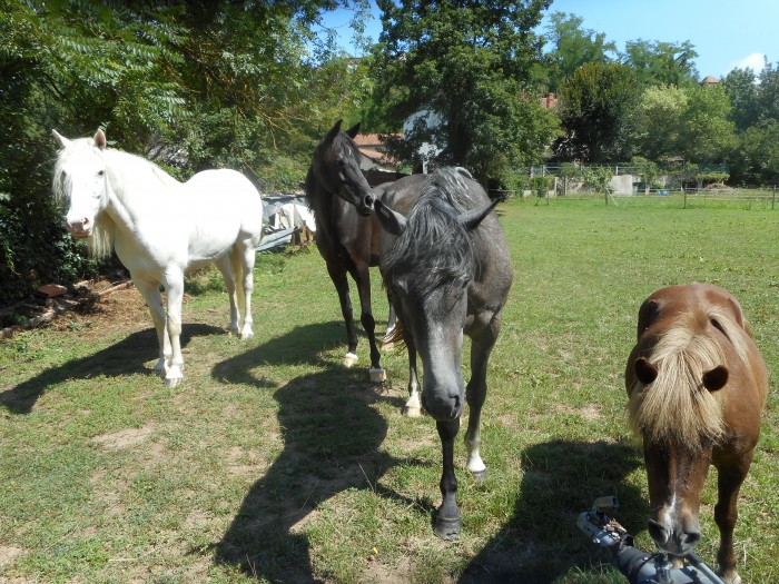 Photo de profil de illyka