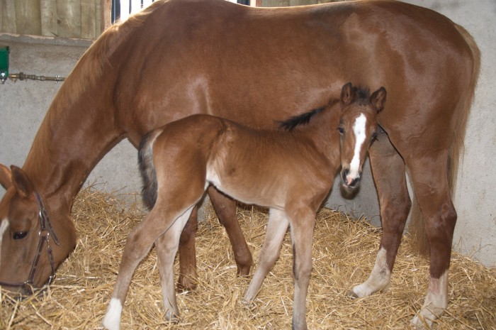 Photo de profil de image1966