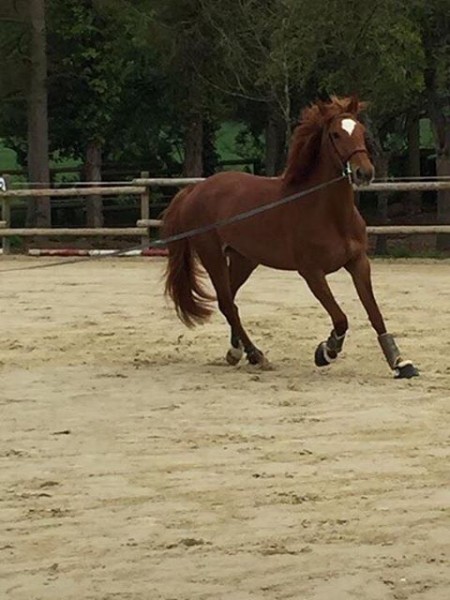 Photo de profil de inaroc