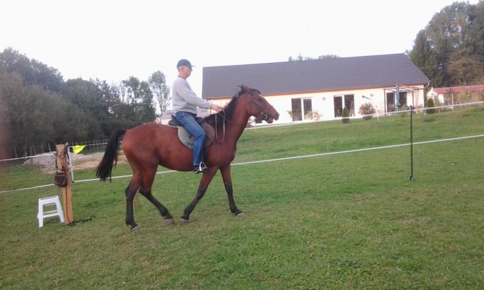 Photo de profil de inlandsis