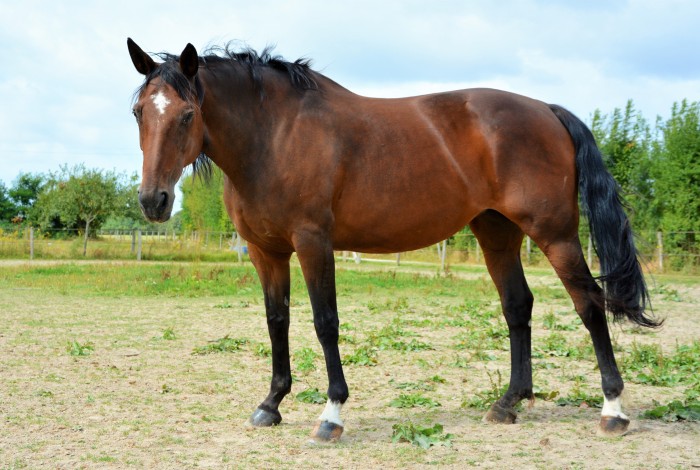 Photo de profil de ioio14