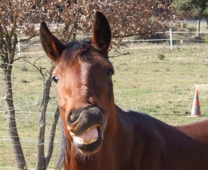 Photo de profil de is13fr