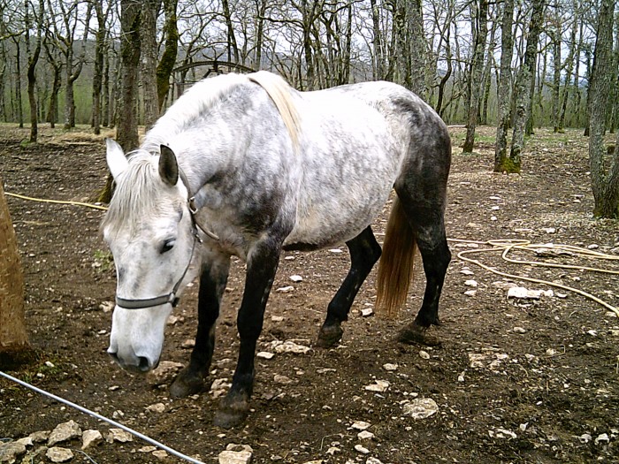 Photo de profil de isa1806