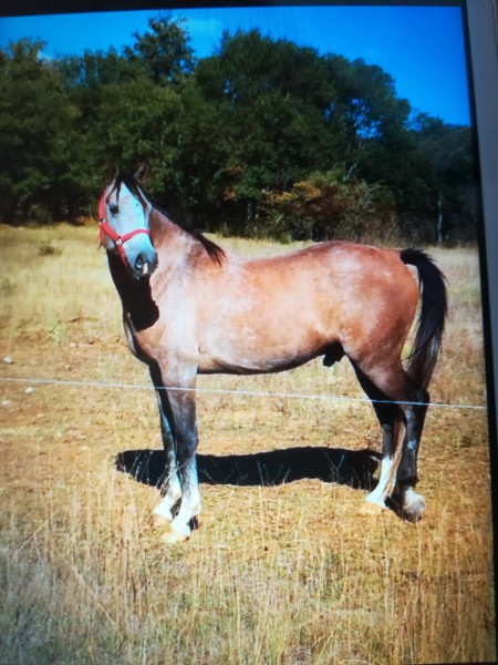 Photo de profil de isabeaulou