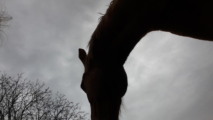Photo de profil de isisyin