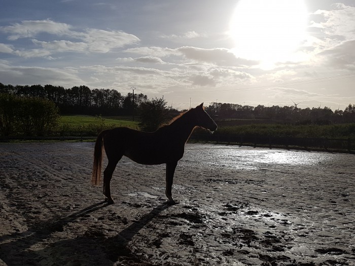 Photo de profil de ixiago
