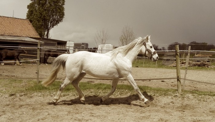 Photo de profil de izabelle