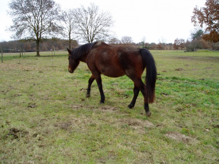 Photo de profil de jackie85