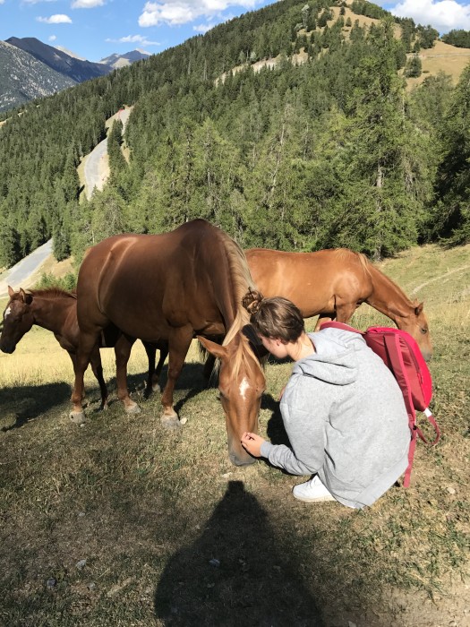 Photo de profil de jade.todisco